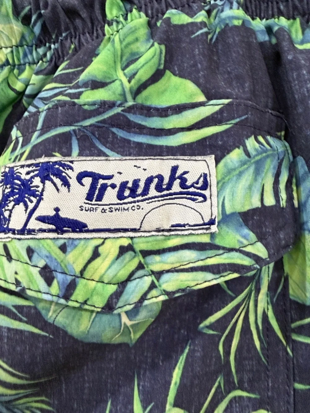 Trunks Surf & Swim classic swim